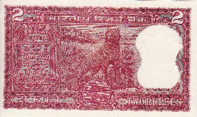 Beschrijving achterzijde: TIGER